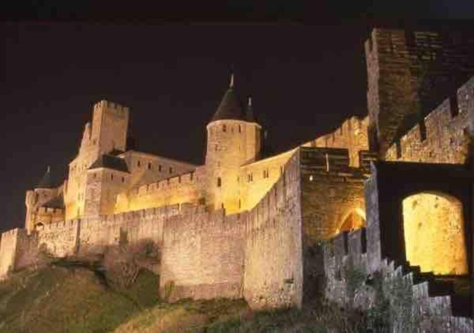 La Maison Rue Nadaud, Au Pied Des Remparts Carcassone Kültér fotó